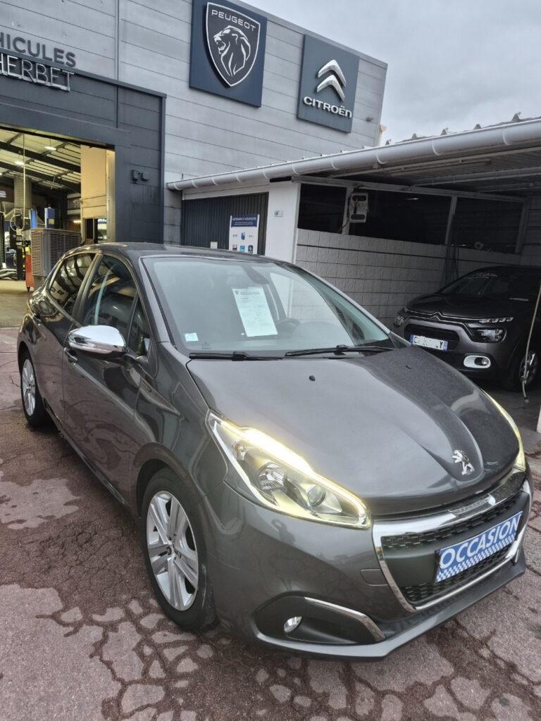 car-dealer-24
